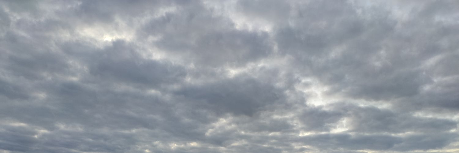 SchwHrt's profile banner image