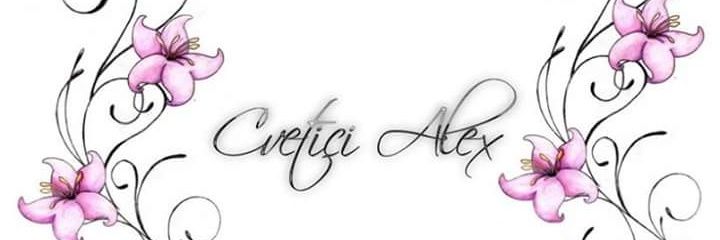 CveticiAlex's profile banner image