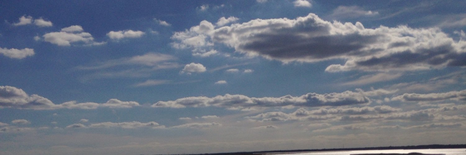 LuxeLegacy's profile banner image