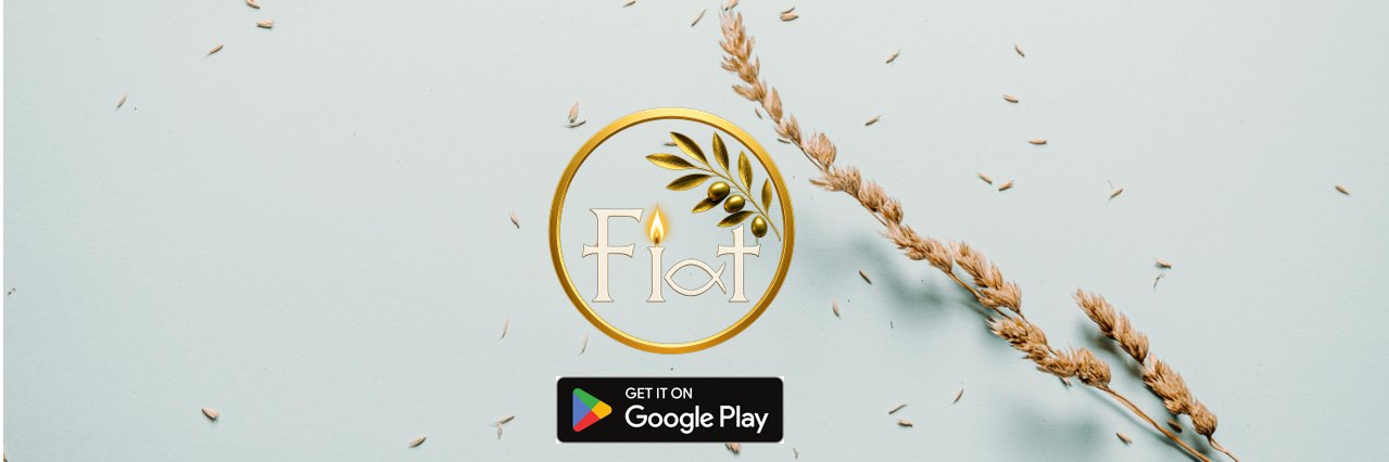 Fiat_app's profile banner image