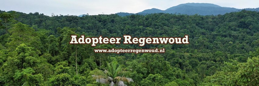 Adopteer Regenwoud banner
