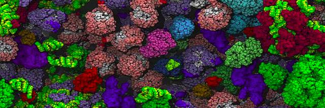 BiologyIB's profile banner image