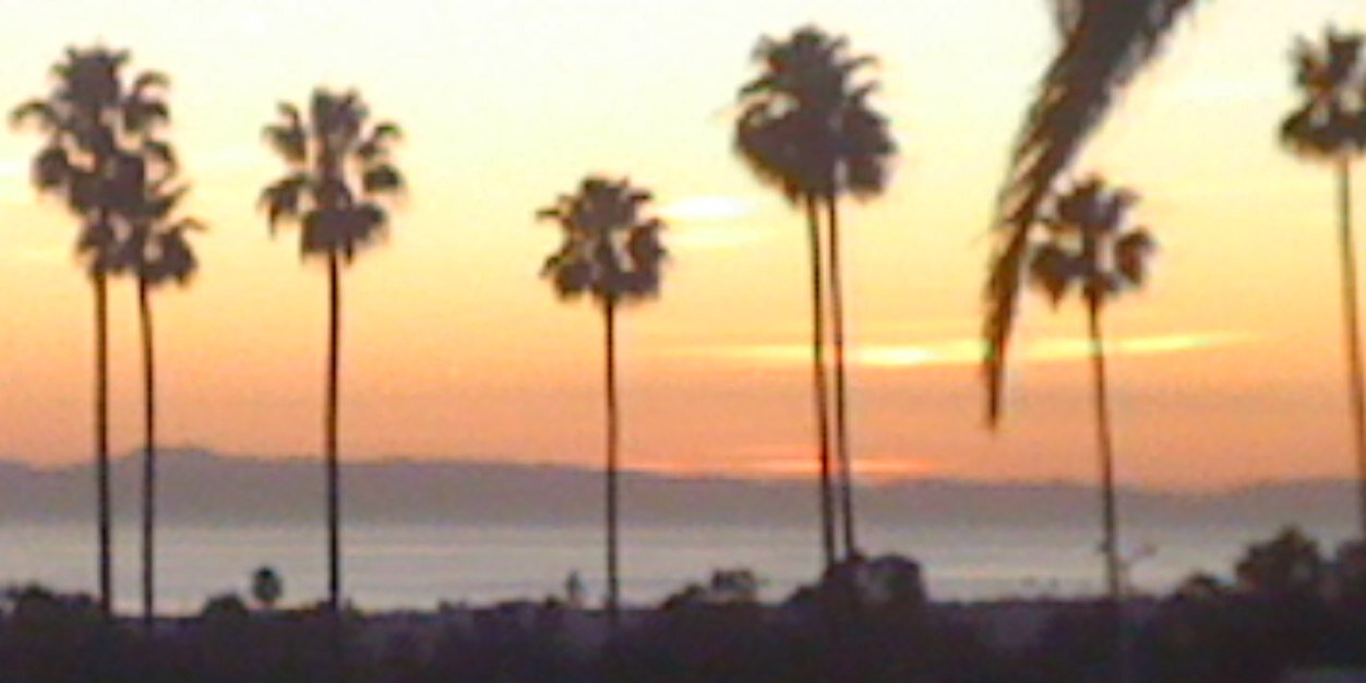 EmilyFuhrman's profile banner image