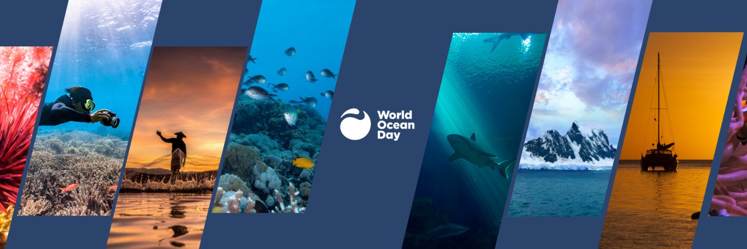 World Ocean Day Profile Banner
