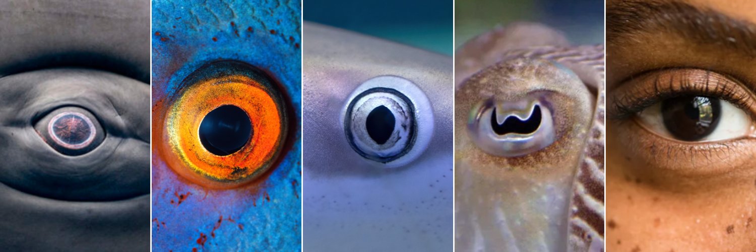 World Ocean Day banner