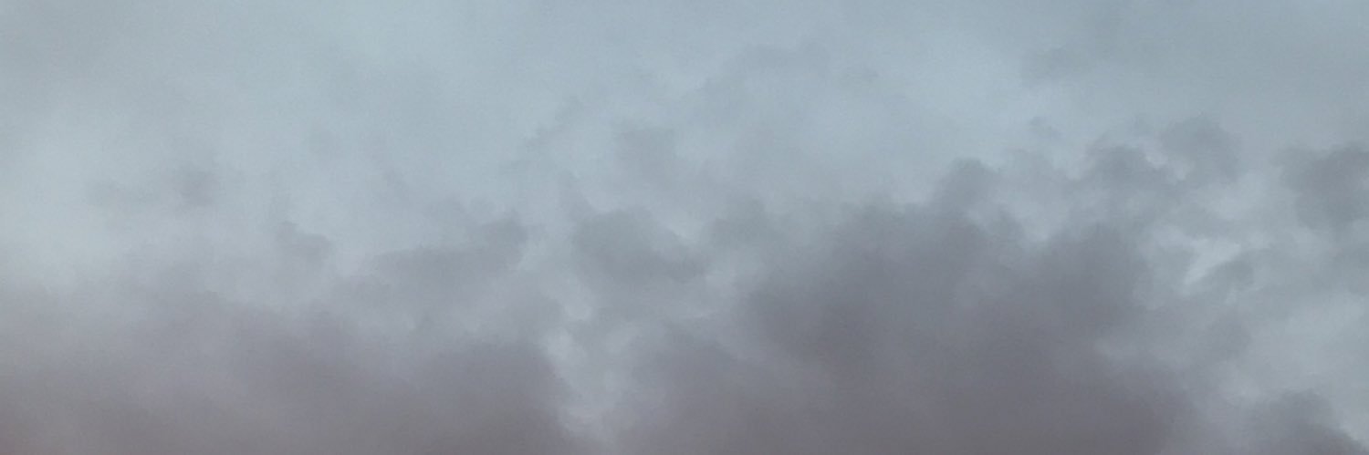 TowersDaniela's profile banner image