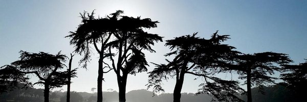 TPCHardingPark Profile Banner