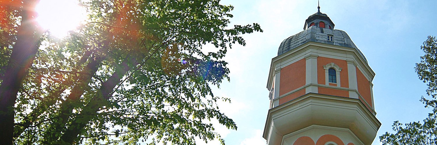 Katrin Albsteiger banner