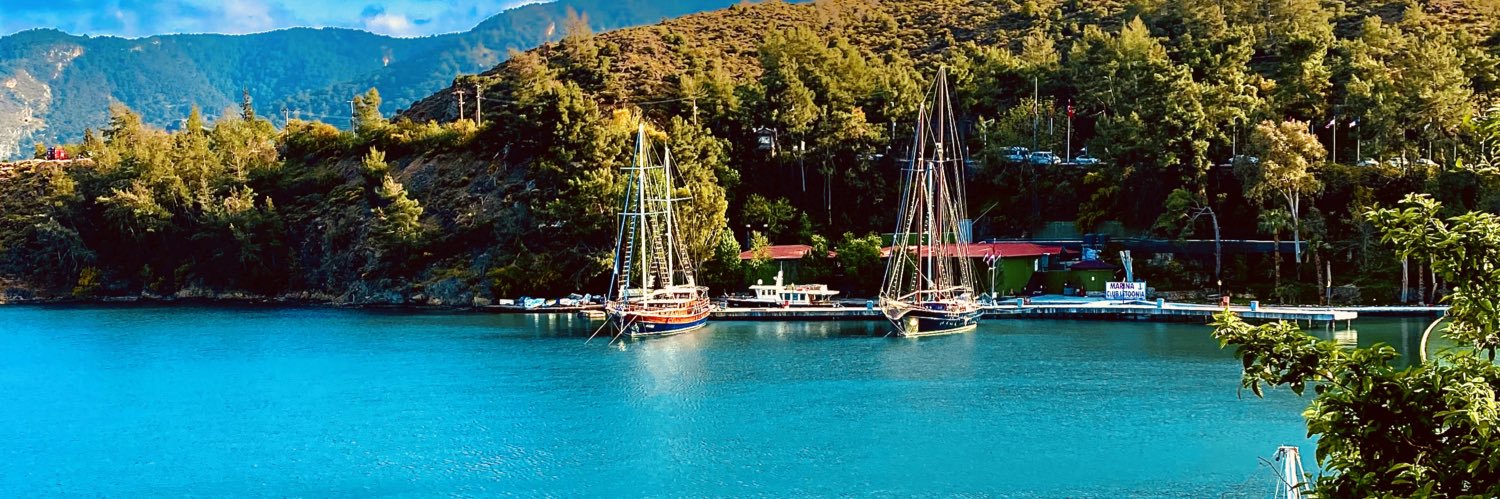 Sharon Carney banner