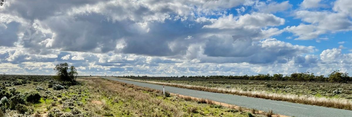 Rural Doctors Network (RDN) banner