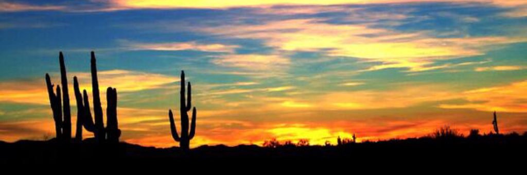 🇺🇸🇺🇸Desert Deplorable 🇺🇸🇺🇸 banner