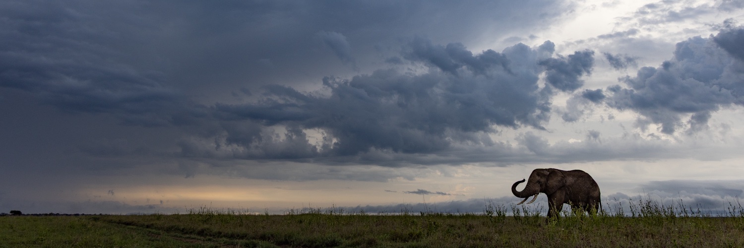 Richard Bernabe banner