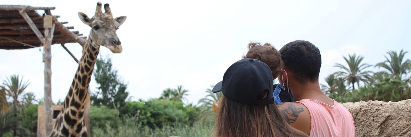 VickyJusticia's profile banner image