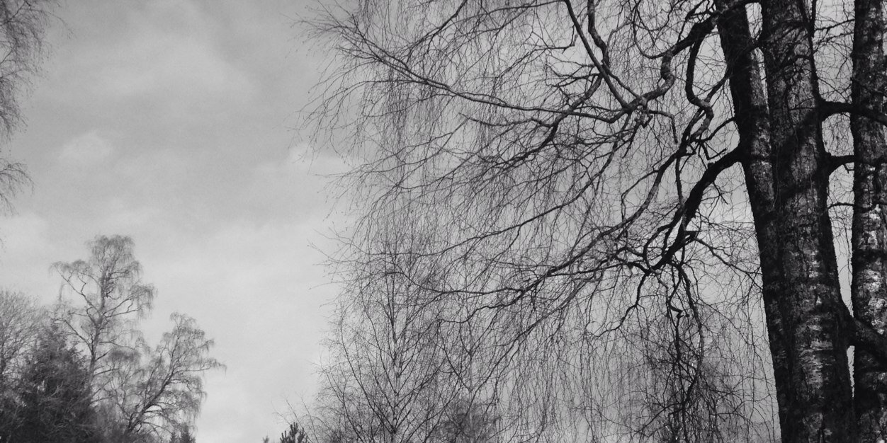 netley's profile banner image