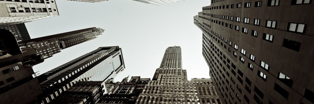 soysikuth's profile banner image