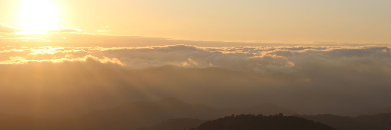 ashweee97's profile banner image