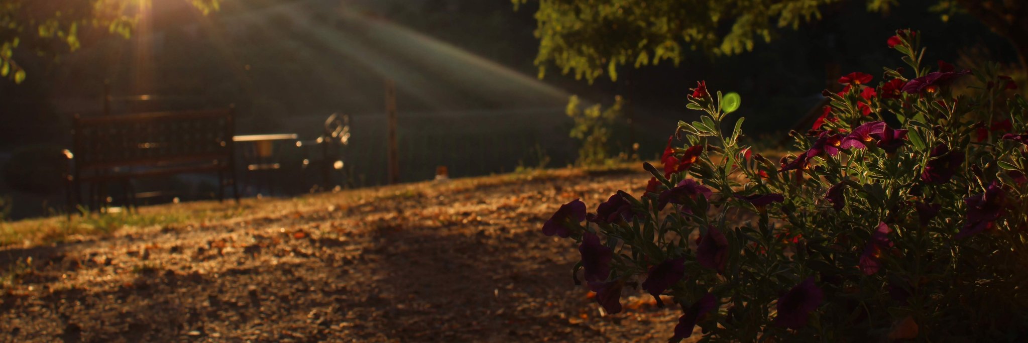Smallish_Sam's profile banner image