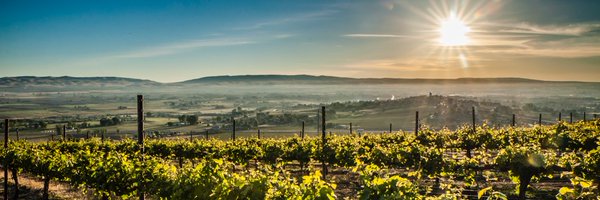 YakimaAVA Profile Banner