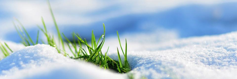 МП Универсалбыт banner