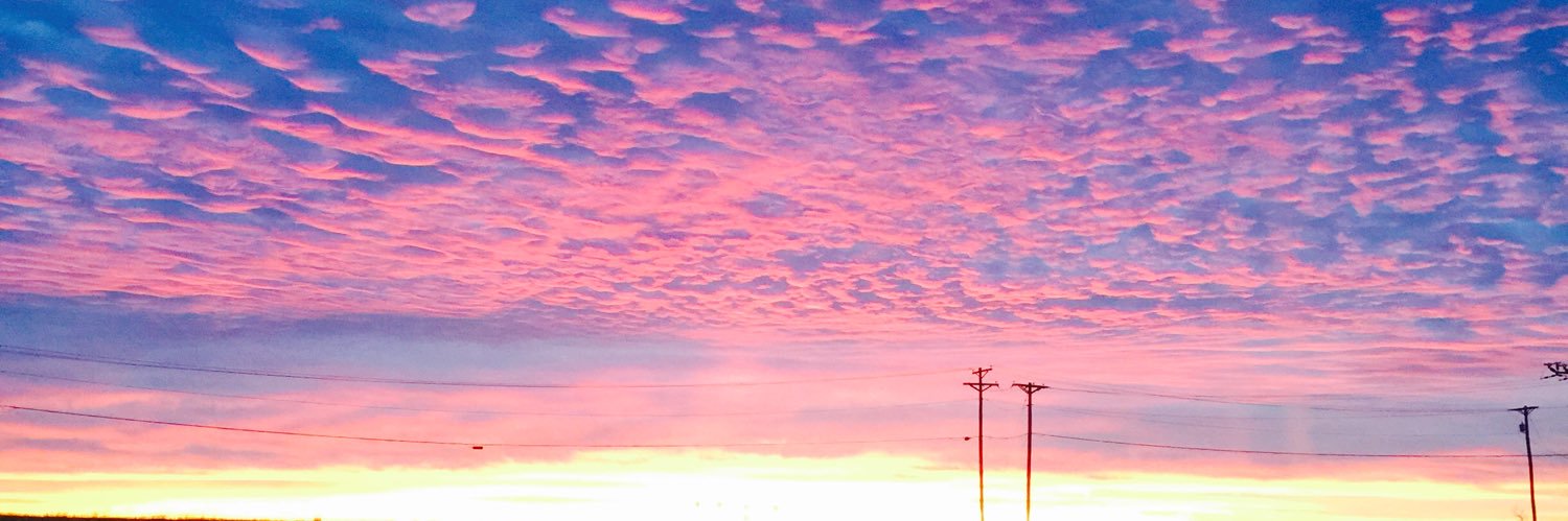 Jeanannlarson's profile banner image