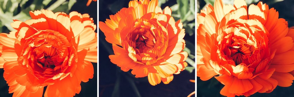 Stephanie 🦋 banner