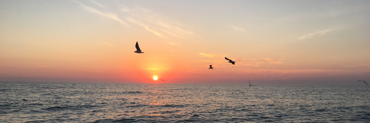 Angela_Cooney's profile banner image
