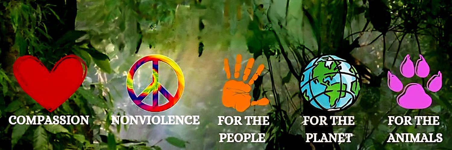 QuinnyPearce's profile banner image