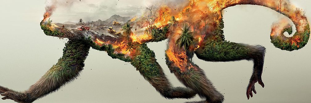 mehmetata's profile banner image