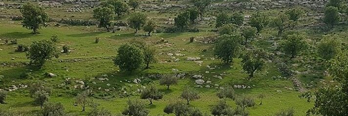 husseinalkhate1's profile banner image