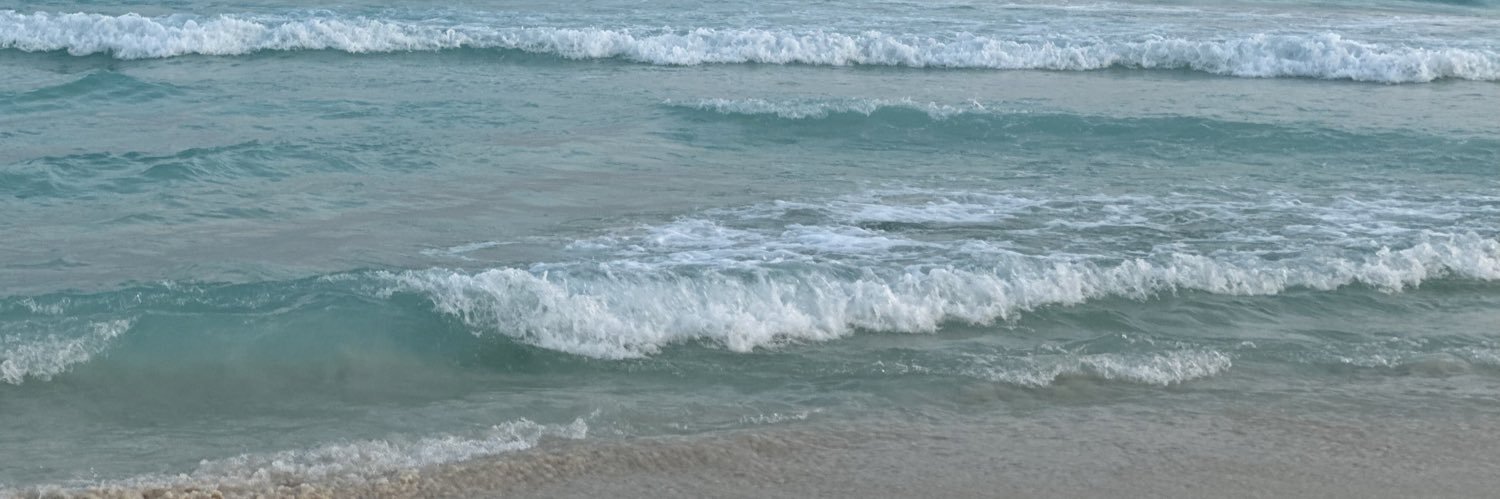 CoachD🦍NoDaysOff banner