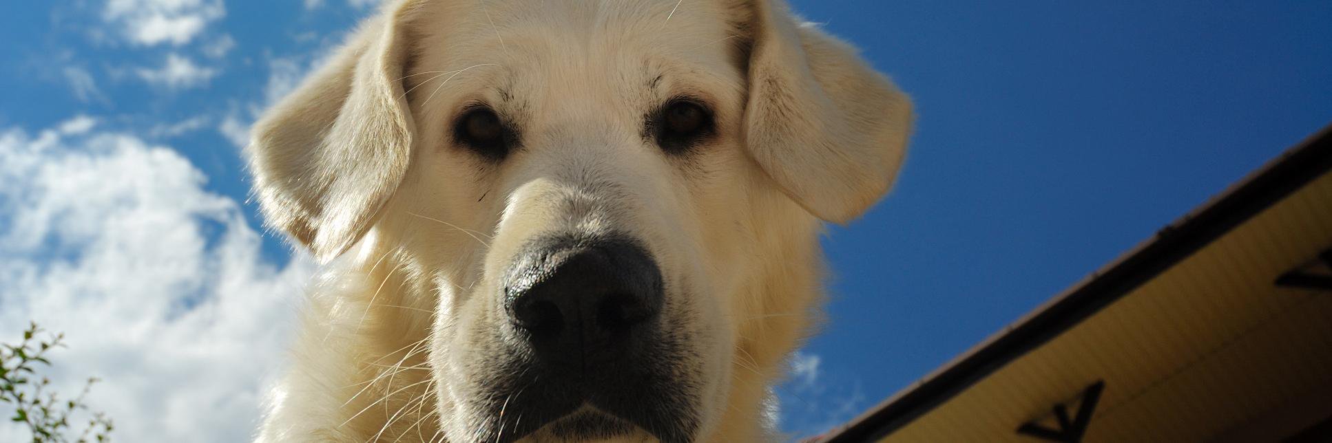 KristiBensonCTC's profile banner image