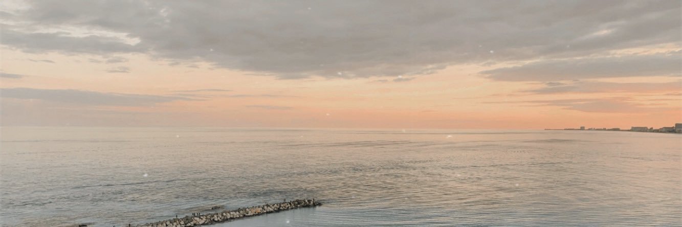michellesuh_'s profile banner image