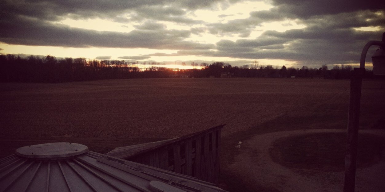 TylerFreese1's profile banner image