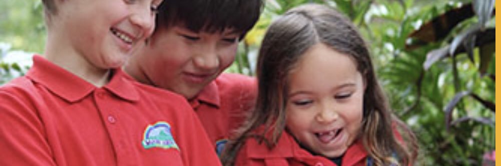 Main Arm Upper P.S. banner