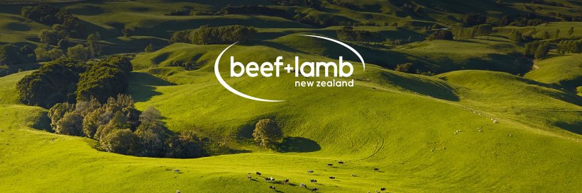 NZBeefLamb's profile banner image