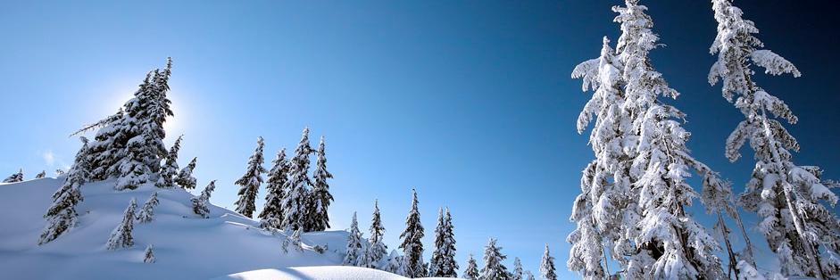 Almacilescom's profile banner image