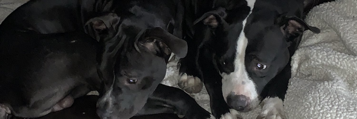 KCole1214's profile banner image