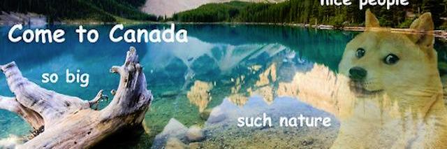 Diced0nions's profile banner image