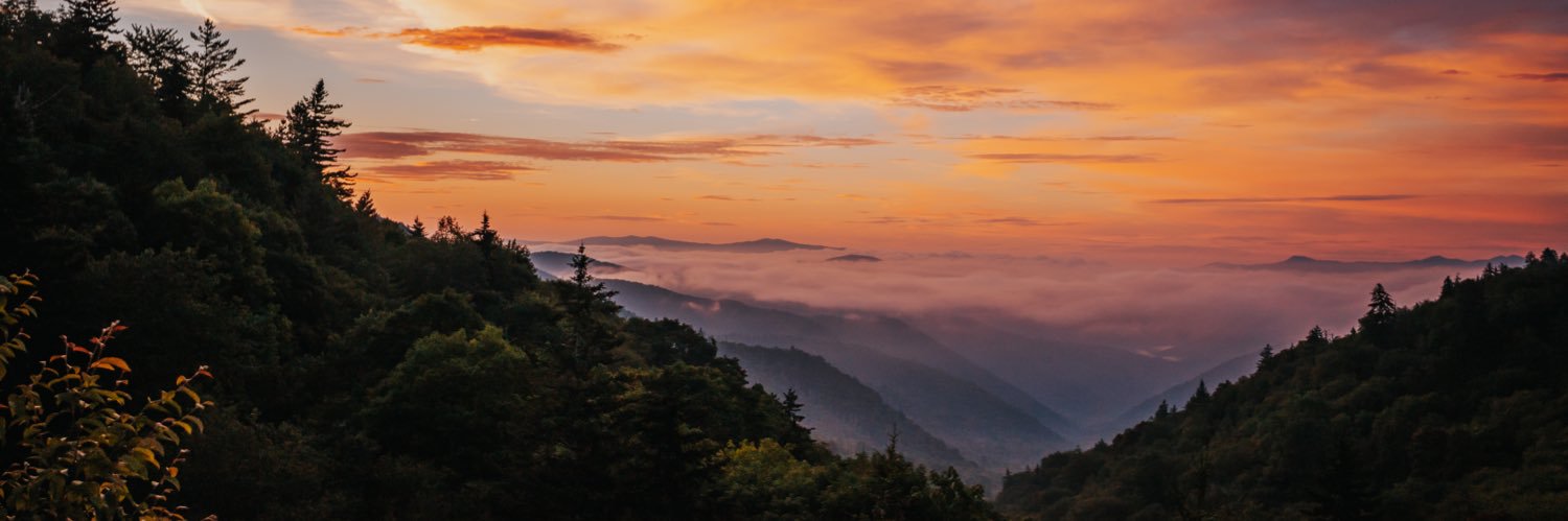 Reems Landreth banner