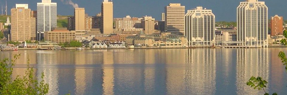 CynthiaLawlor's profile banner image