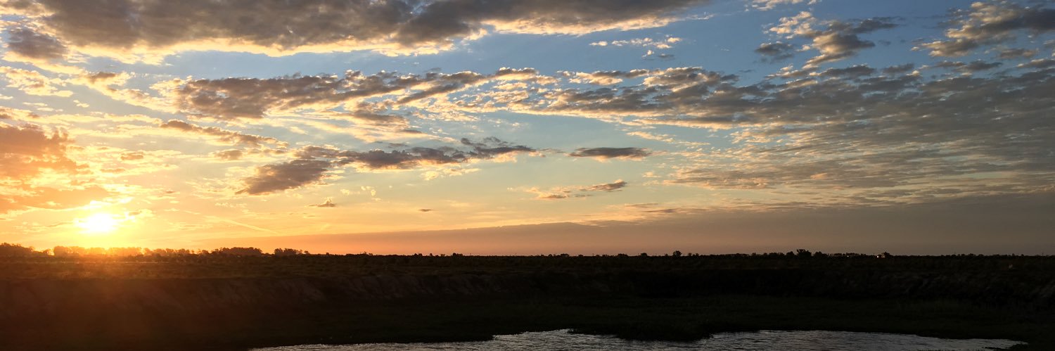 juliehenshaw's profile banner image