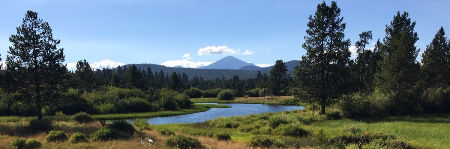 David Tindall banner