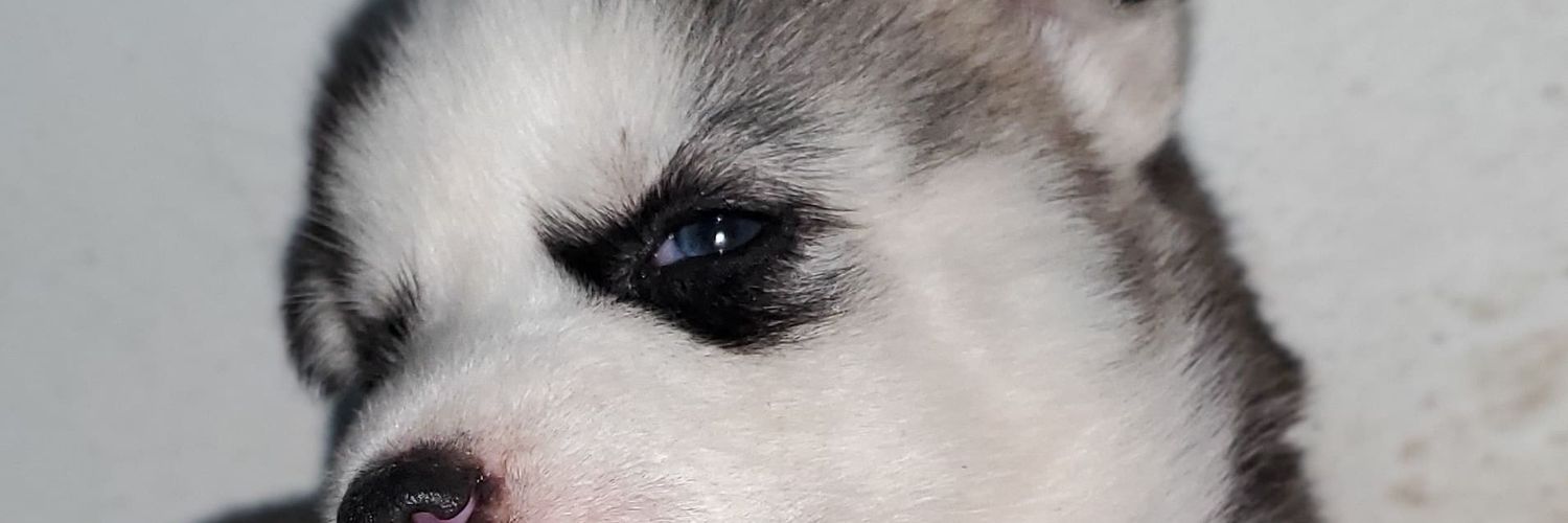 MariSolEs90's profile banner image