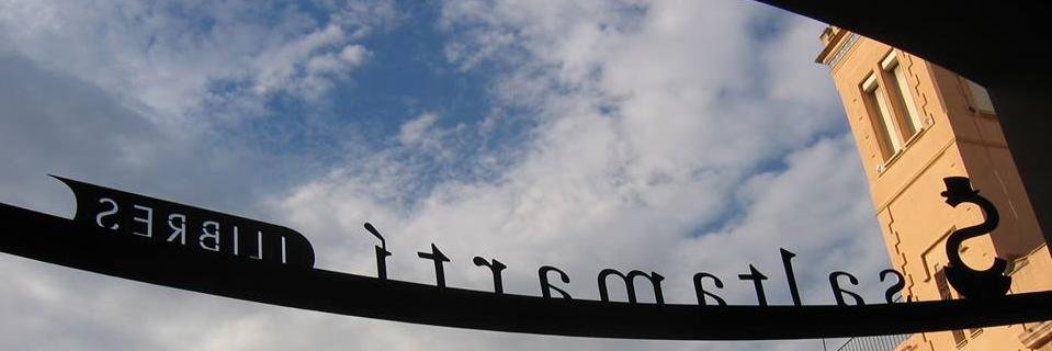 Saltamartillibr's profile banner image