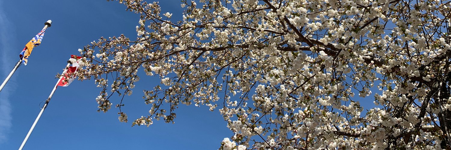 DeBeck Elementary banner