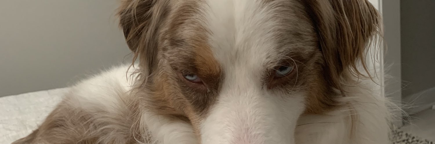 smoken__'s profile banner image