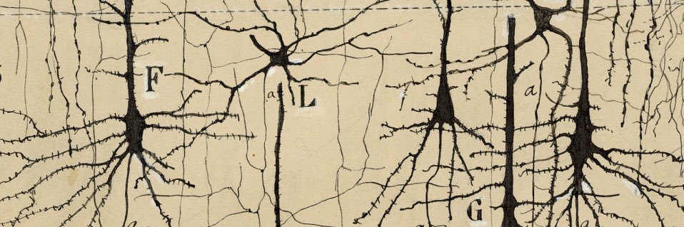 Phil Bilodeau, MD banner