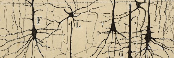 phil_bilodeau Profile Banner