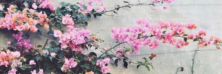 mariahwhite42's profile banner image