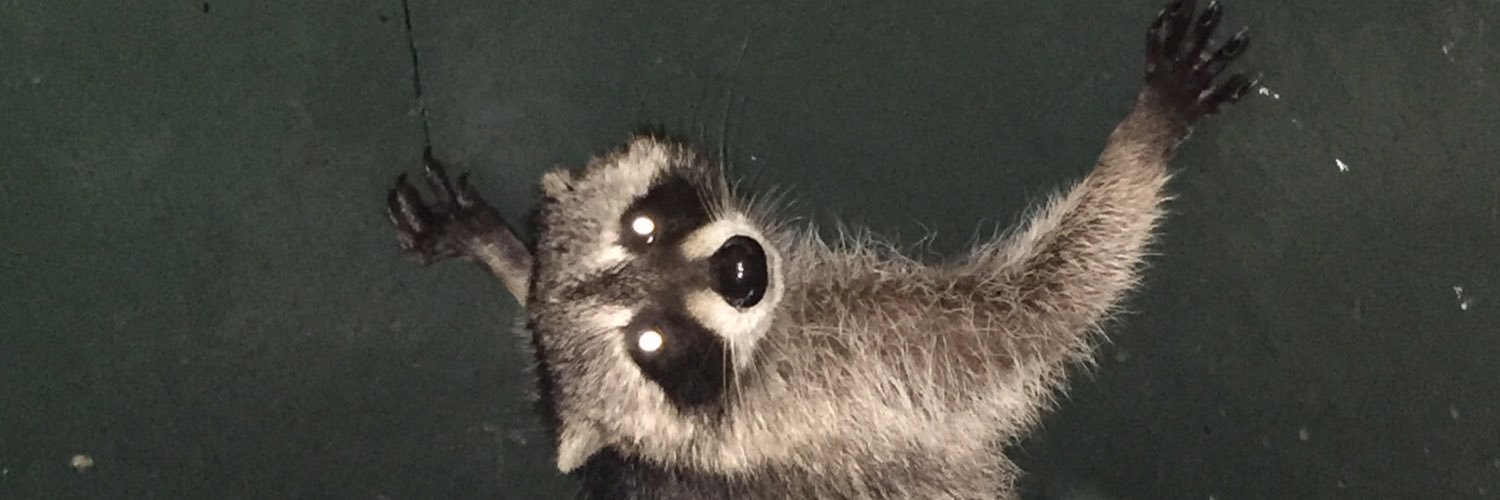 willslone4's profile banner image